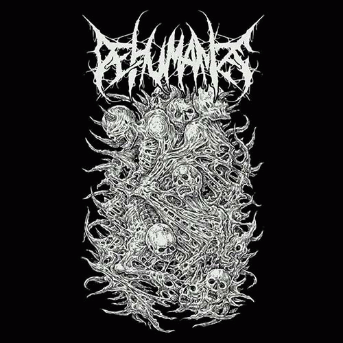 Dehumanize (USA) : Tomes of Splintered Skulls